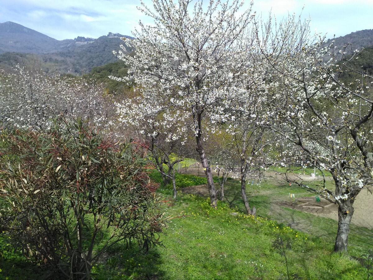 Tranquil In Corsica With Terrace Penta di Casinca